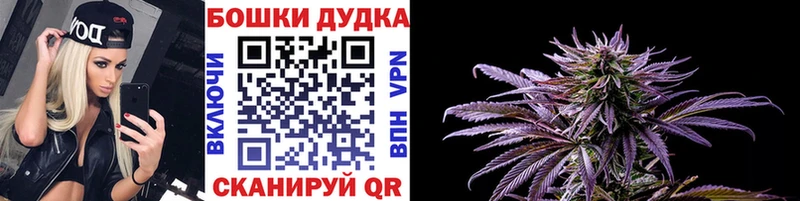 ГАШИШ Видное